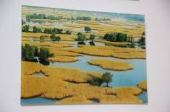 Mini IMG 1270